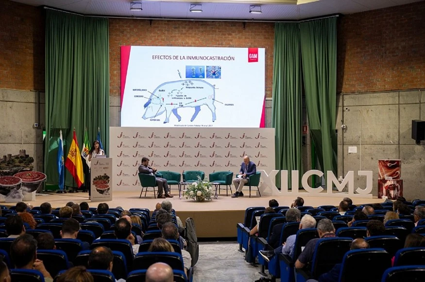 Interham crea el Grupo de Trabajo de Promocin y Formacin